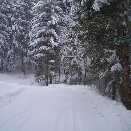 Fruehstueckspension Zippo * Greifenburg